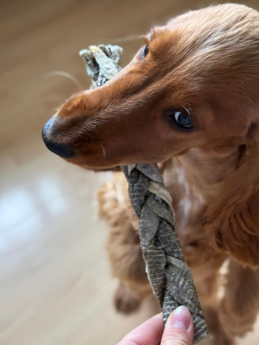 Gardumi suņiem - kaltēta mencas bize