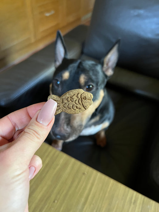 Gardumi suņiem - zivju cepumi lielie, 70g