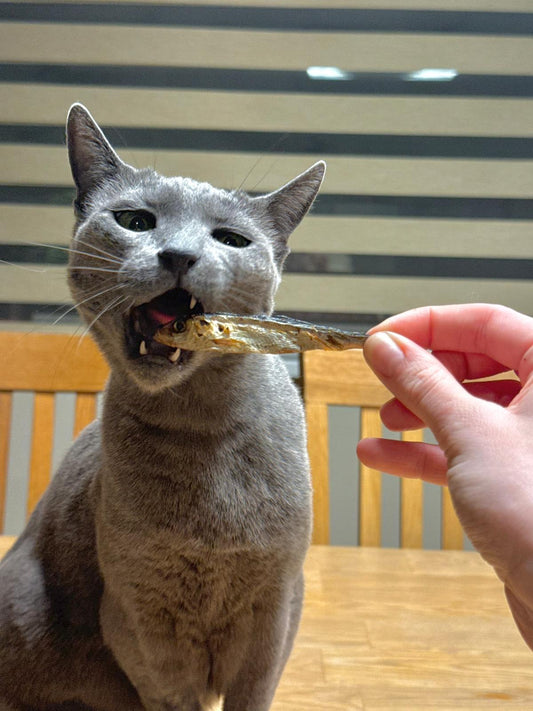 Skanėstai šunims ir katėms - džiovinti šprotai, 30 g