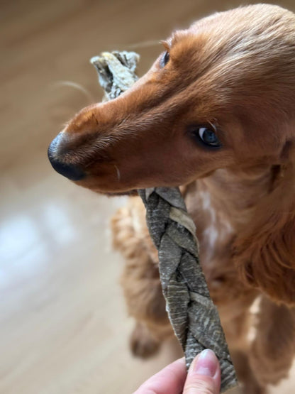 Gardumi suņiem - kaltēta mencas bize