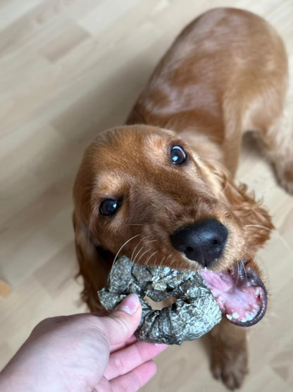 Gardumi suņiem - kaltēts mencas gredzens, 1gb