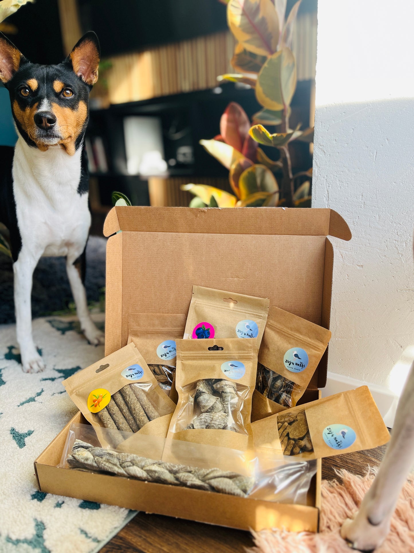 Gardumi suņiem - mencu stienīšī ar mellenēm, 80g