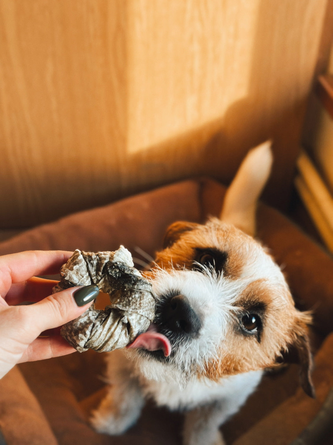 Kārumi suņiem - kaltēts mencas gredzens, 1gb