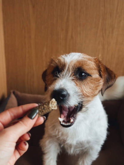 Gardumi suņiem - mencu  stienīši ar smiltsērkšķi, 80g