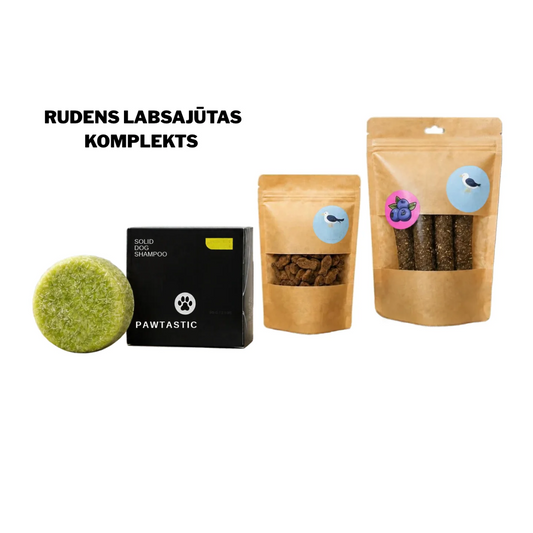 Rudens Labsajūtas Komplekts