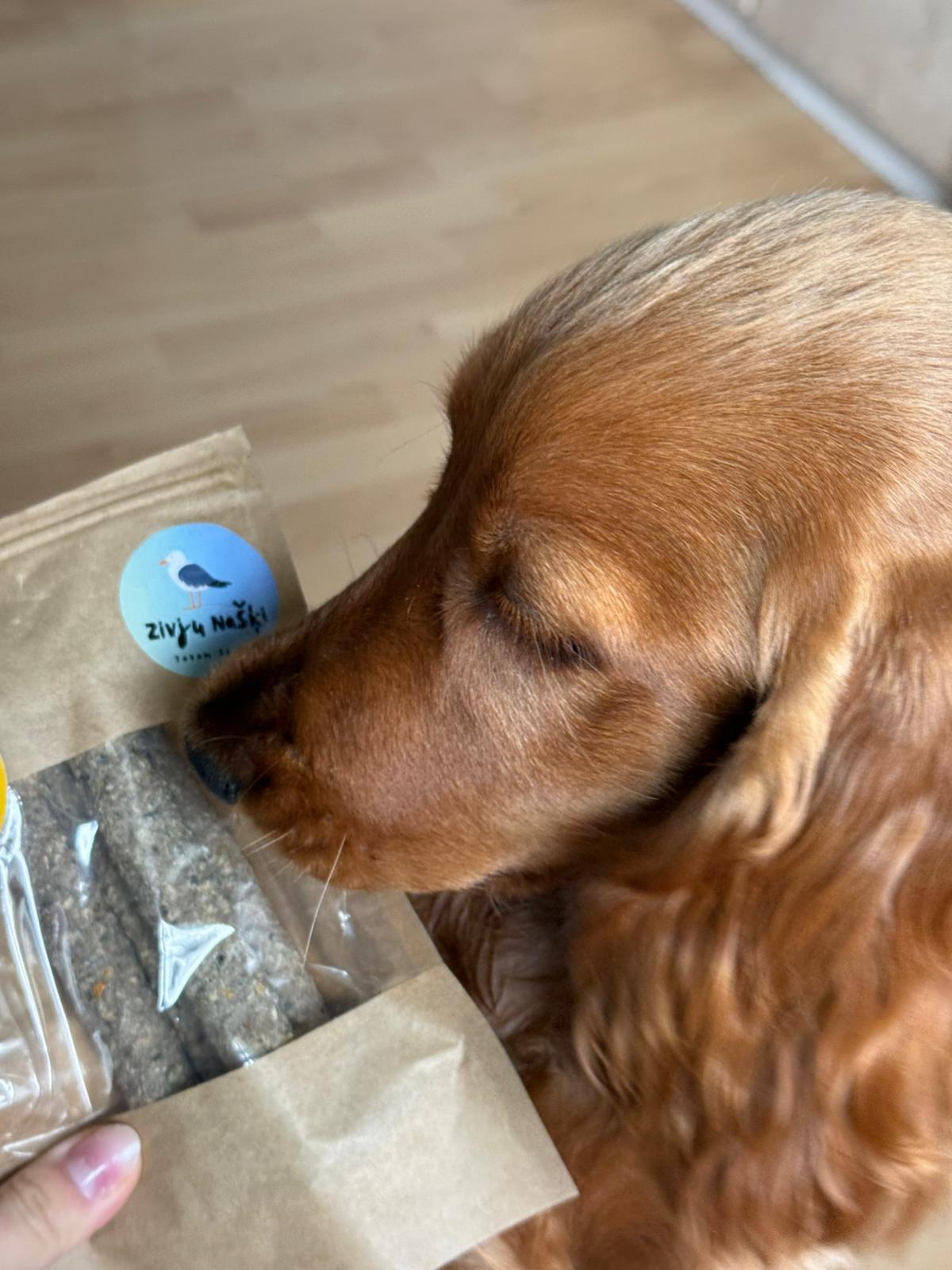 Garudmi suņiem - mencu stienīši no Pawtastic