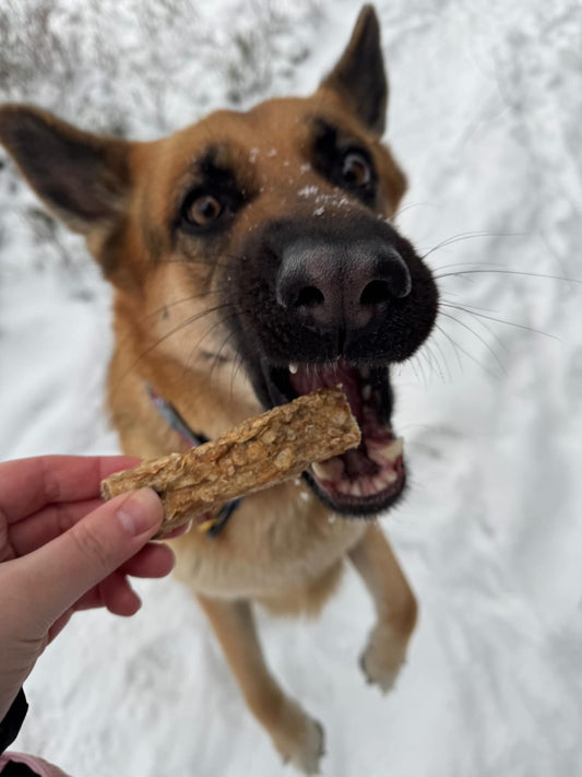 Gardumi suņiem - Jūras asara gardumi, 100g