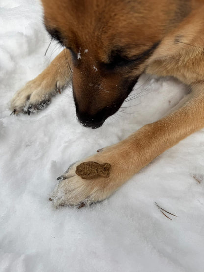 Gardumi suņiem - zivju cepumi lielie, 70g