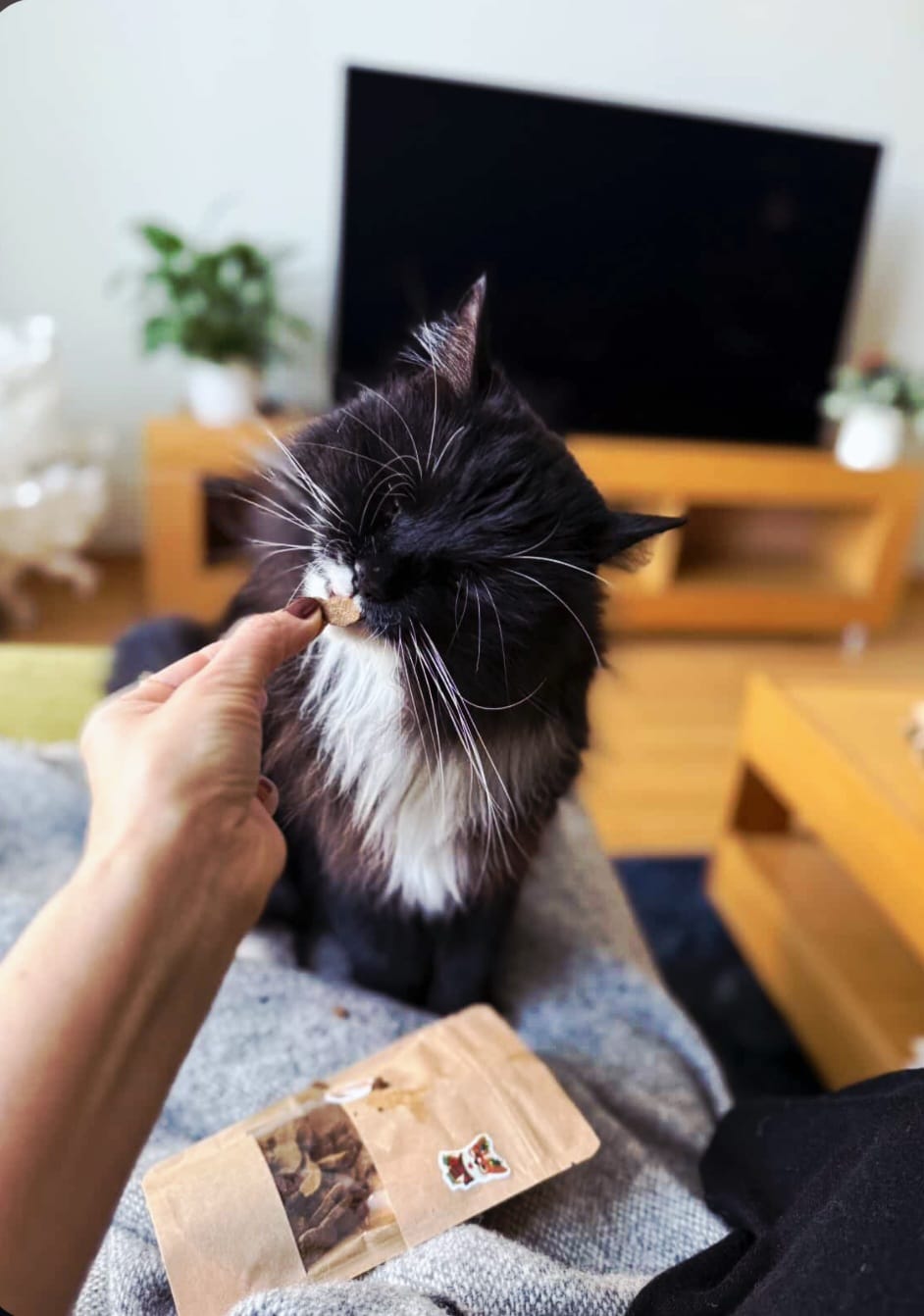 Gardumi suņiem un kaķiem - zivju cepumi mini, 50g