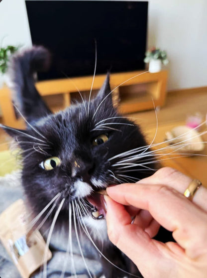 Gardumi suņiem un kaķiem - zivju cepumi mini, 50g