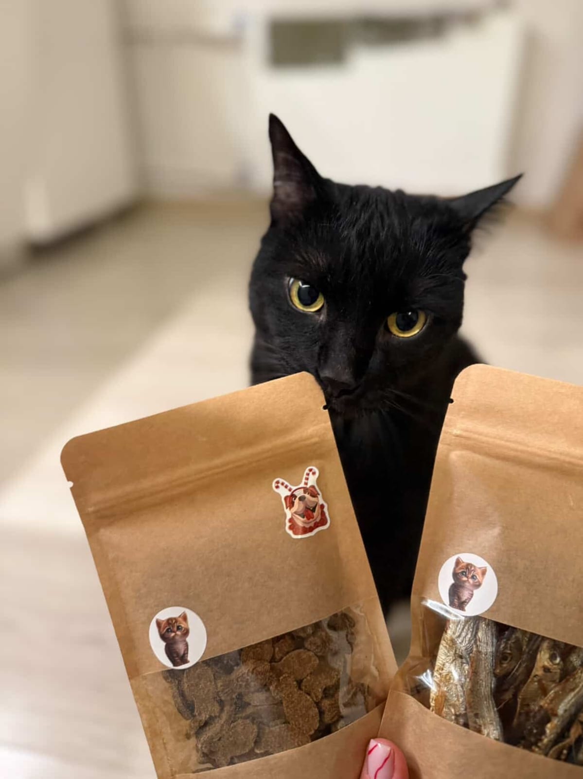 Gardumi suņiem un kaķiem - zivju cepumi mini, 50g