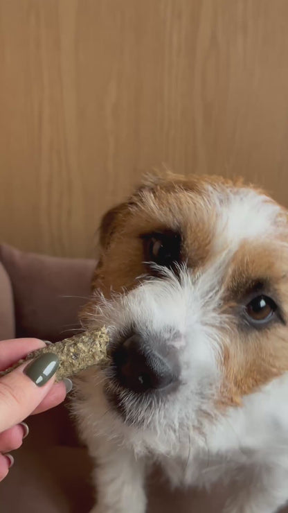 Gardumi suņiem - mencu  stienīši ar smiltsērkšķi, 80g