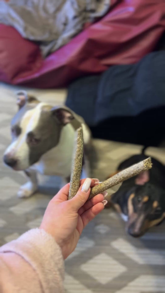 Gardumi suņiem - mencu  stienīši ar smiltsērkšķi, 80g