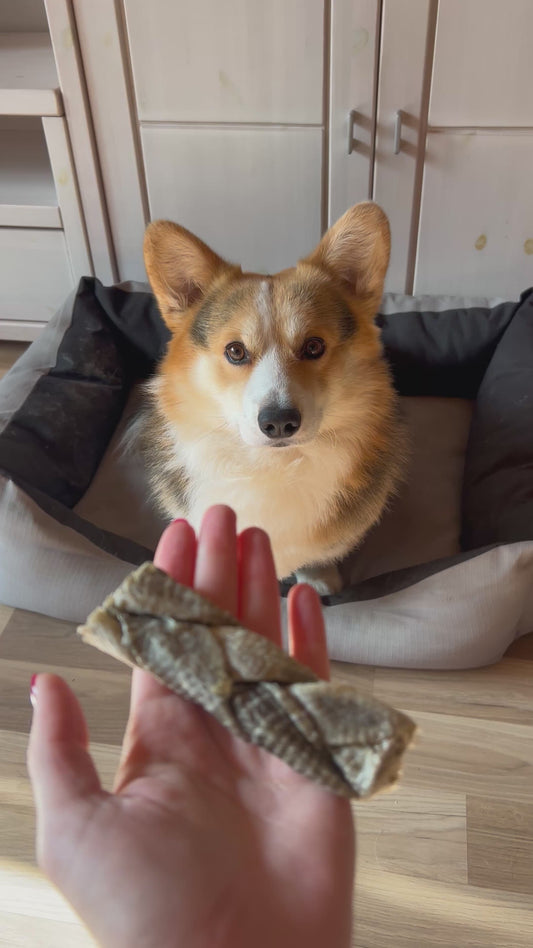 Šunų skanėstai - džiovinta menkės filė, 1 vnt.